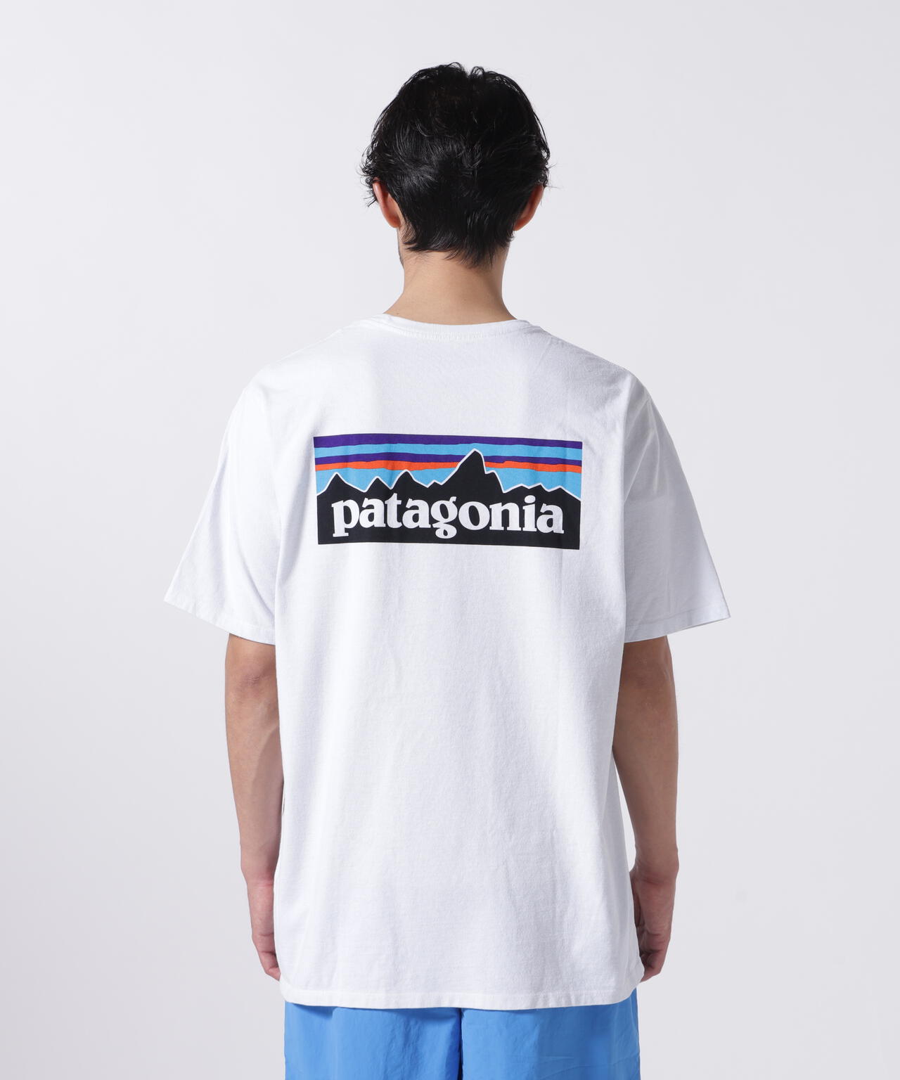 Patagonia/パタゴニア  メンズ・P-6ロゴ・レスポンシビリティー