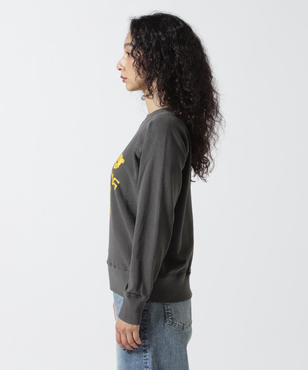 MIXTA/ミクスタ  MIXTIGER CREW NECK SWEAT RAGRAN