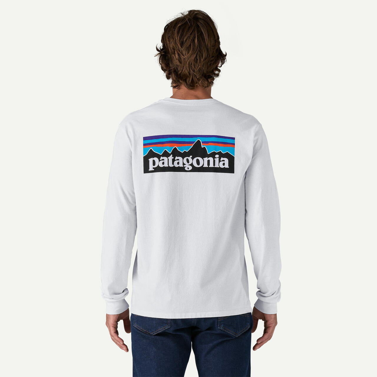 Patagonia/パタゴニア　メンズ・ロングスリーブ・P-6ロゴ・レスポンシビリティー