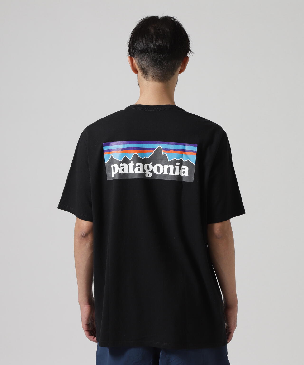 Patagonia/パタゴニア　メンズ・P-6ロゴ・レスポンシビリティー