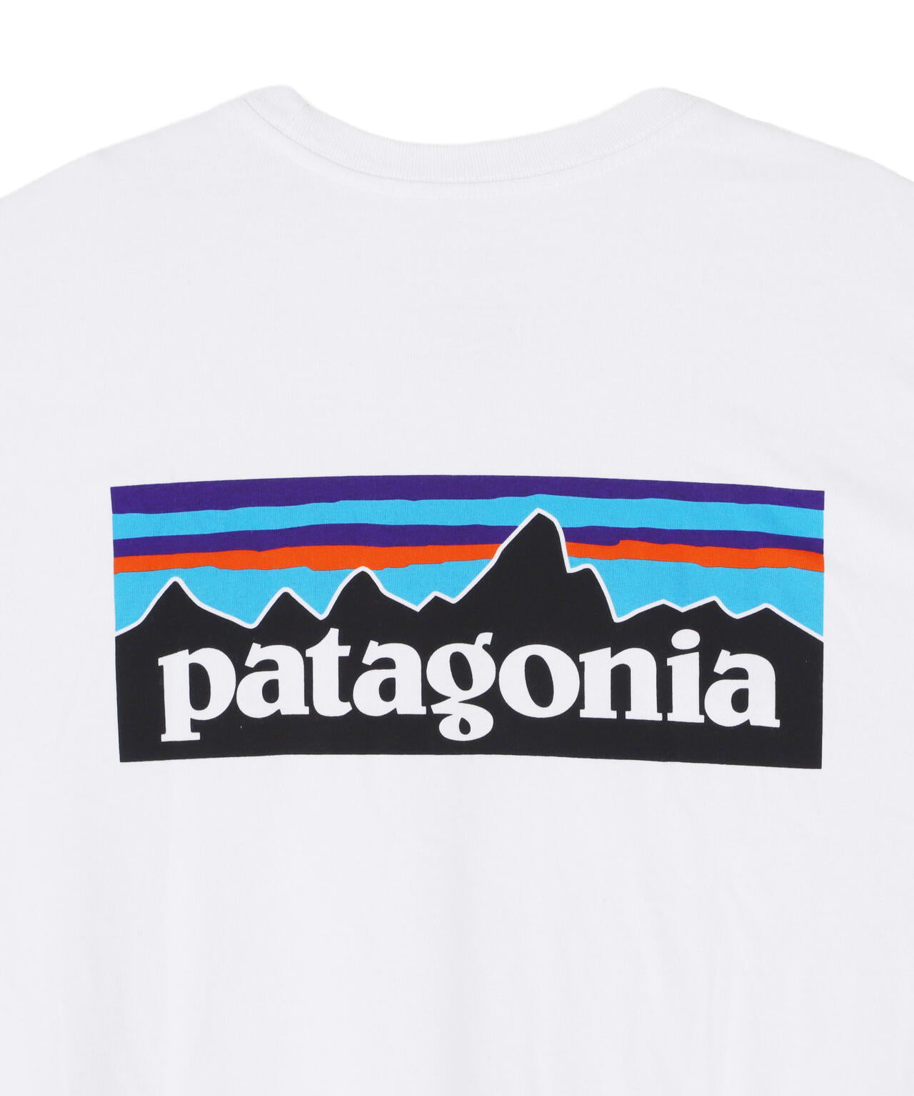 Patagonia/パタゴニア　メンズ・P-6ロゴ・レスポンシビリティー