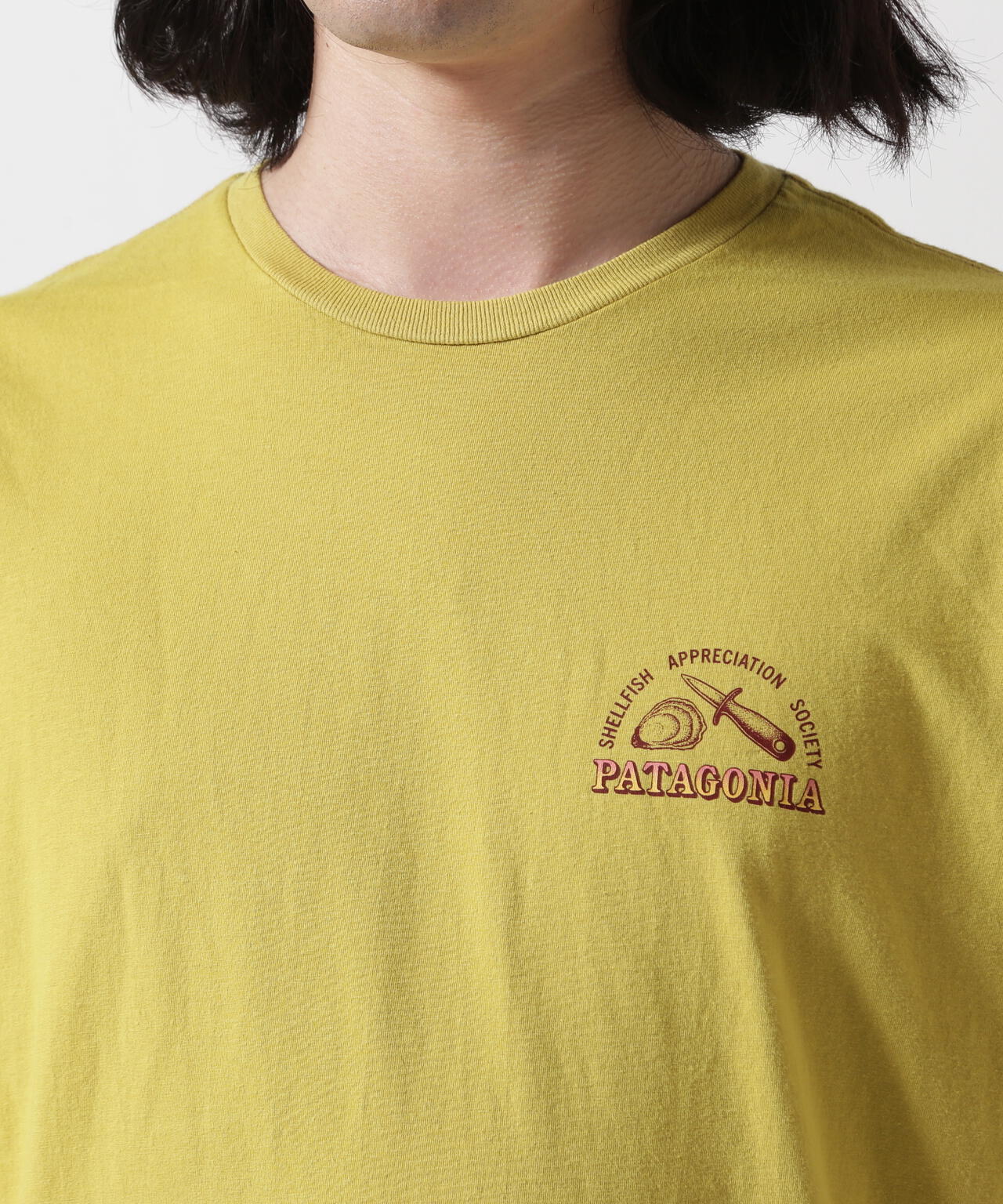 Patagonia/パタゴニア　 メンズ・アクアティック・アクション・オーガニック・Tシャツ