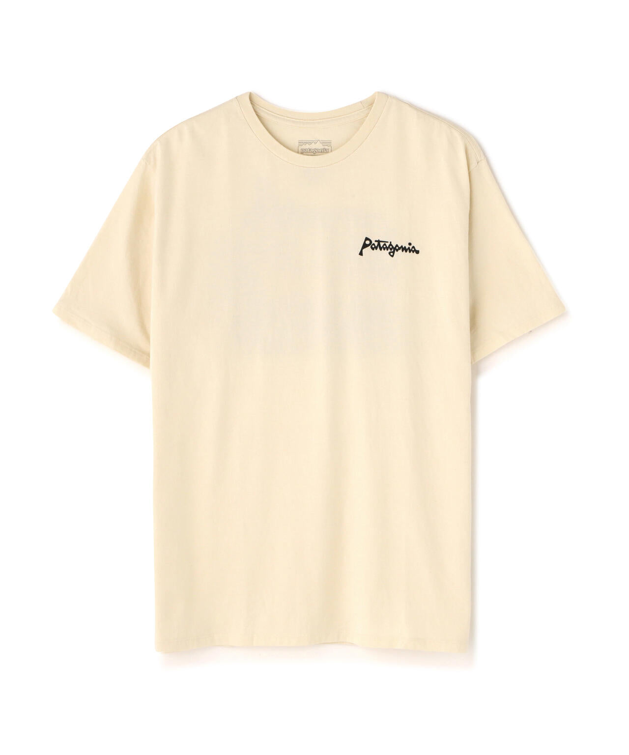 Patagonia/パタゴニア　 メンズ・アクアティック・アクション・オーガニック・Tシャツ