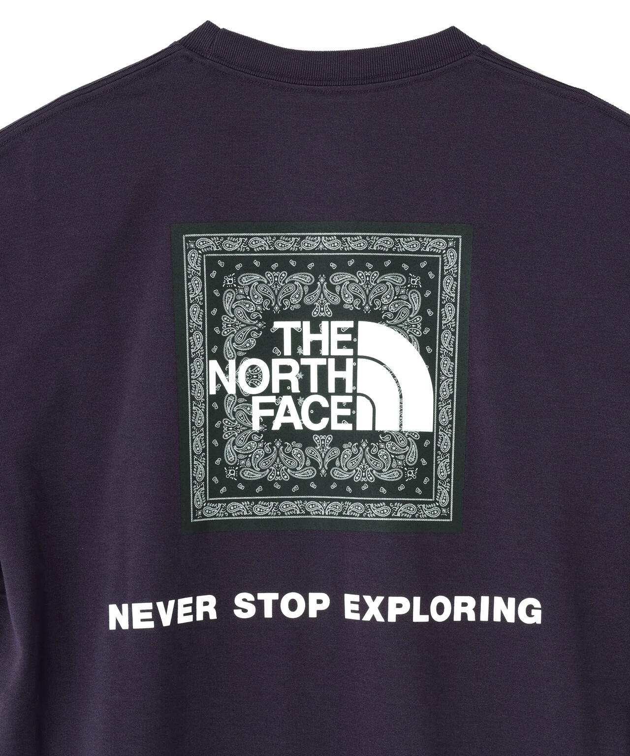 THE NORTH FACE   S/S Bandana Square Logo Tee