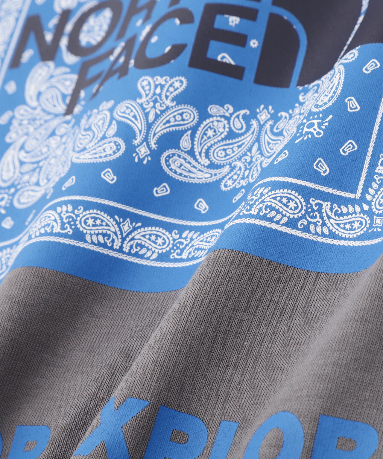 THE NORTH FACE   S/S Bandana Square Logo Tee