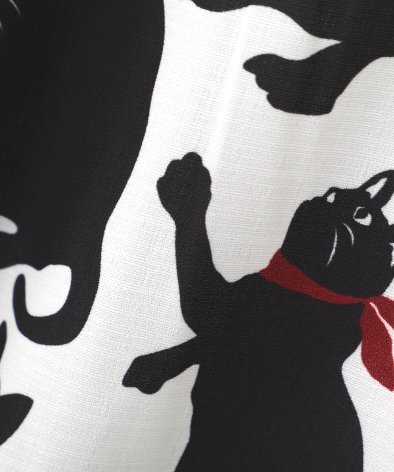 B omnivore/ビーオムニボー　CAT S/S SHIRT