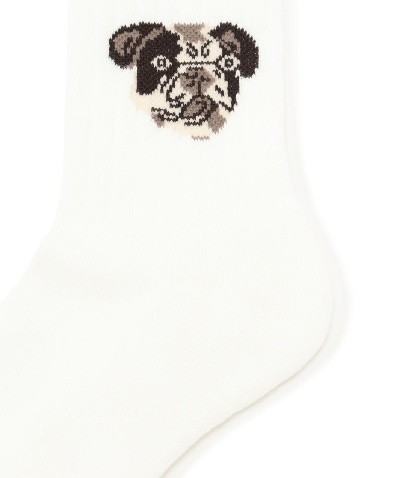 ROSTER SOX/ロスターソックス  DOG SOCKS