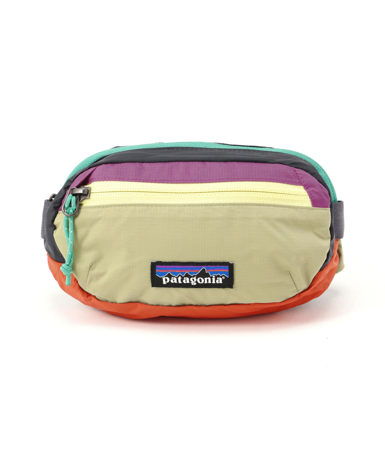 Patagonia/パタゴニア　テラヴィア・ミニ・ヒップ・パック 1L 49448
