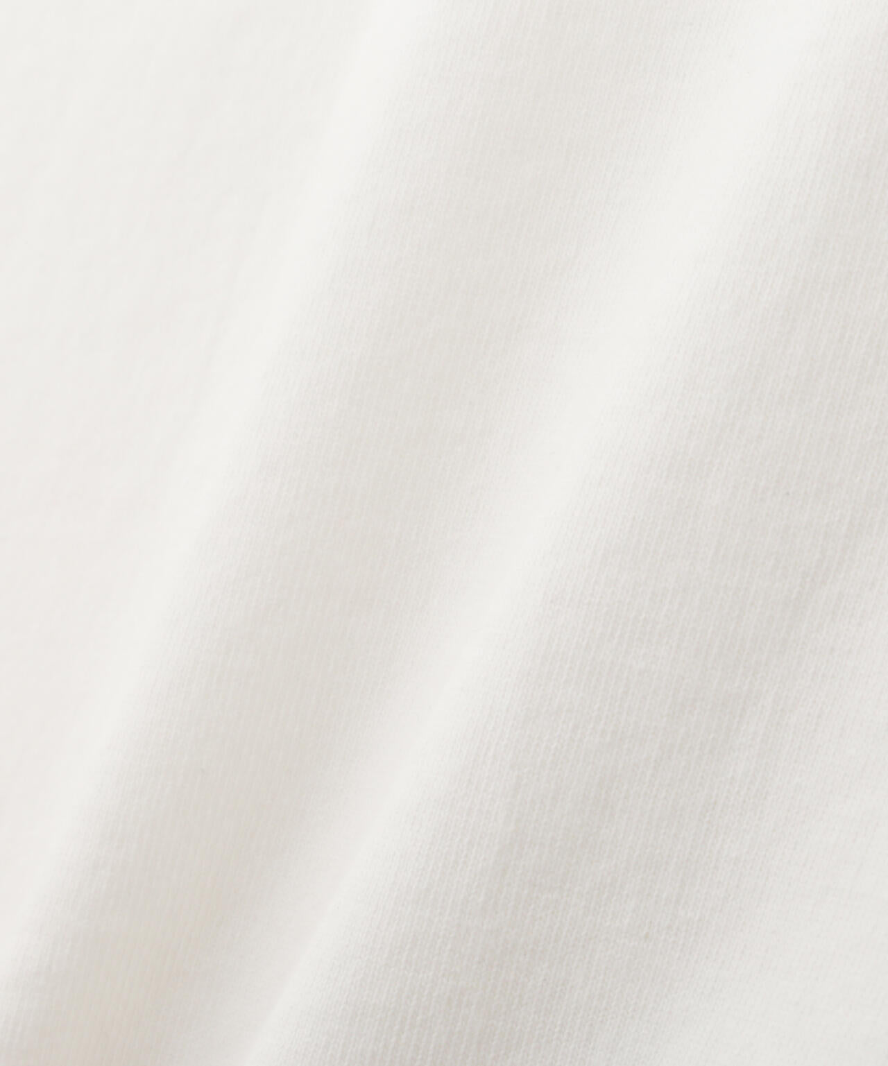 HENLEY TｰSHIRT "CREST DRAGON EMB"/刺繍ヘンリーTシャツ "クレスト ドラゴン"