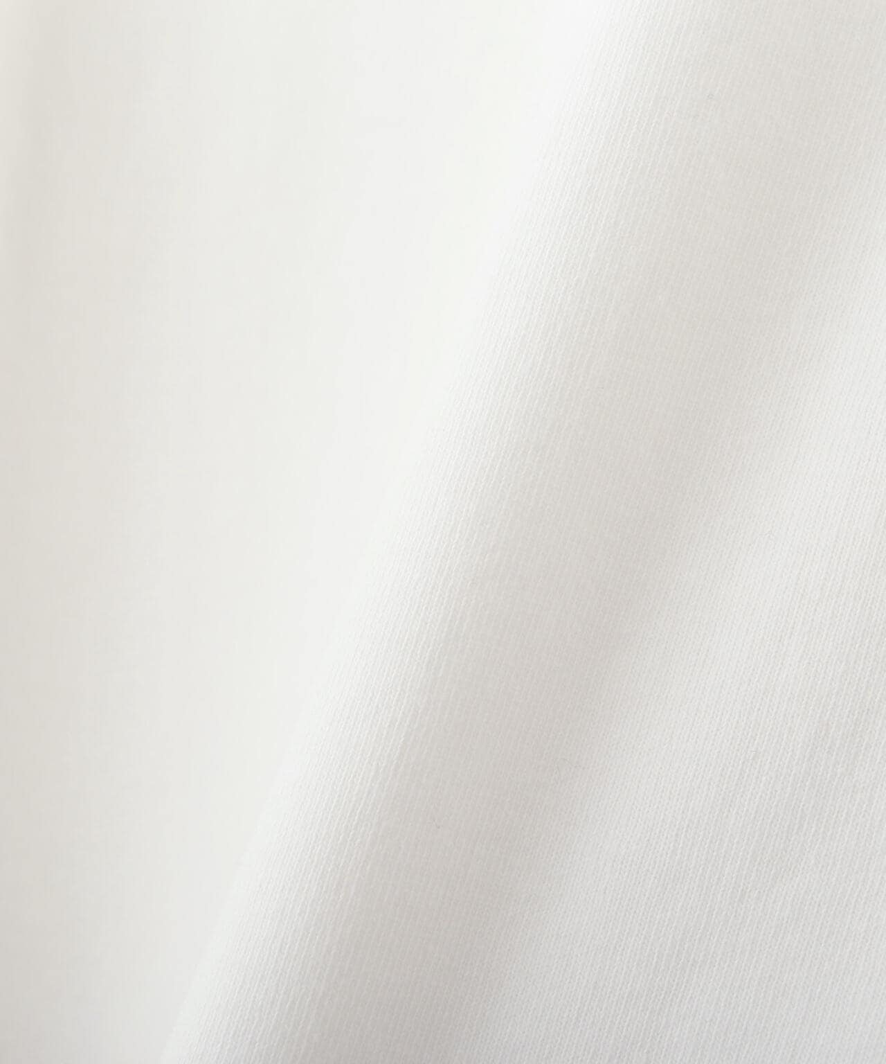 《WEB&DEPOT限定》AMERICAN FLAGS L/S T-SHIRT / アメリカン フラッグス 長袖 Tシャツ / AVIREX