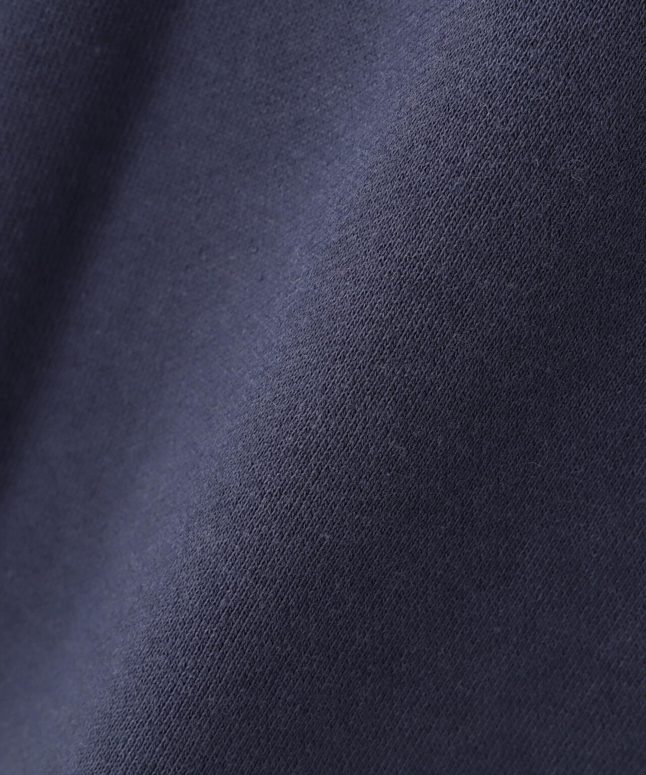 《WEB&DEPOT限定》DAILY EX LOGO CREW NECK SWEAT