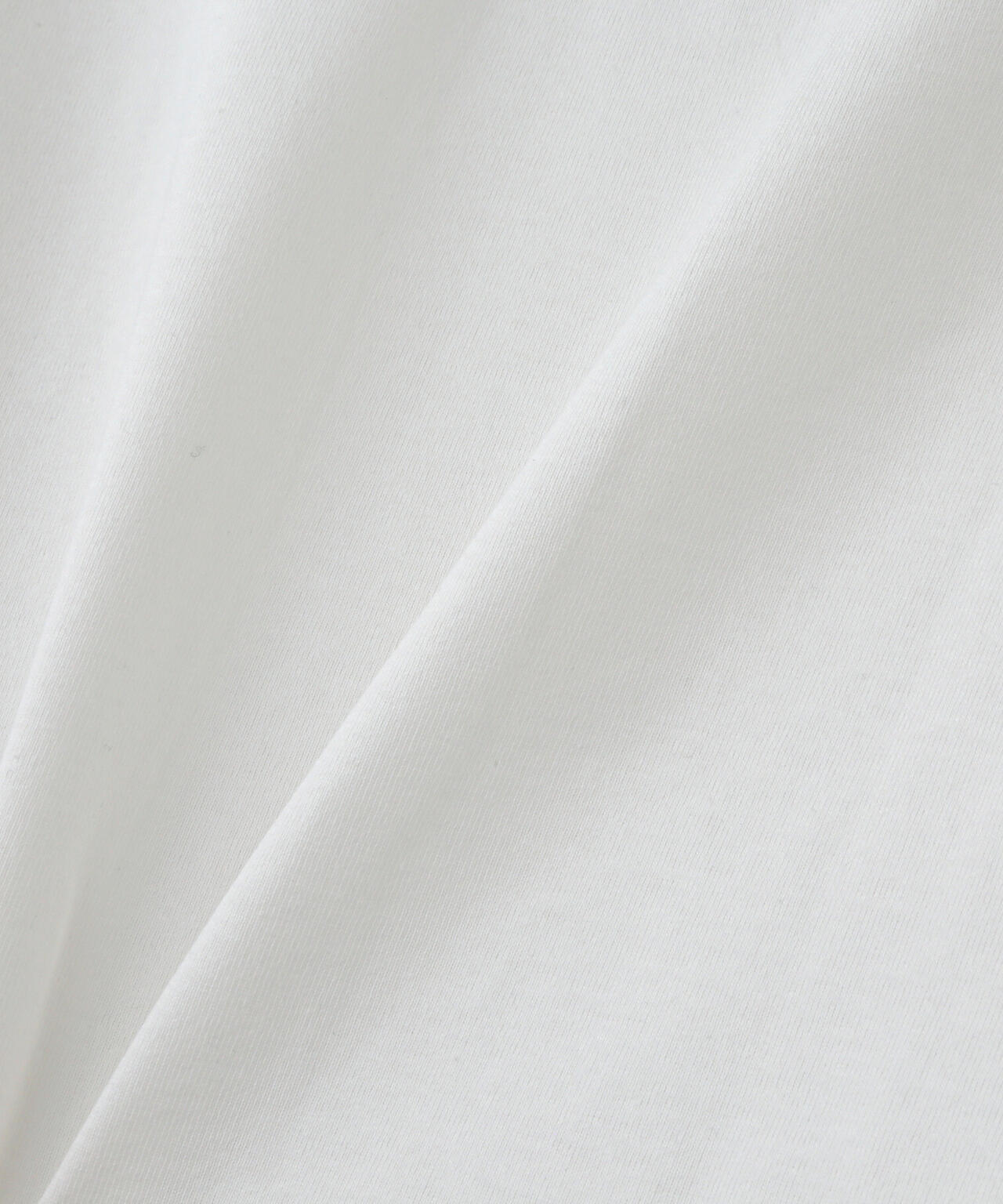 SOUVENIR TIGER T-SHIRT / スーベニア タイガー 半袖Tシャツ / AVIREX / アヴィレックス