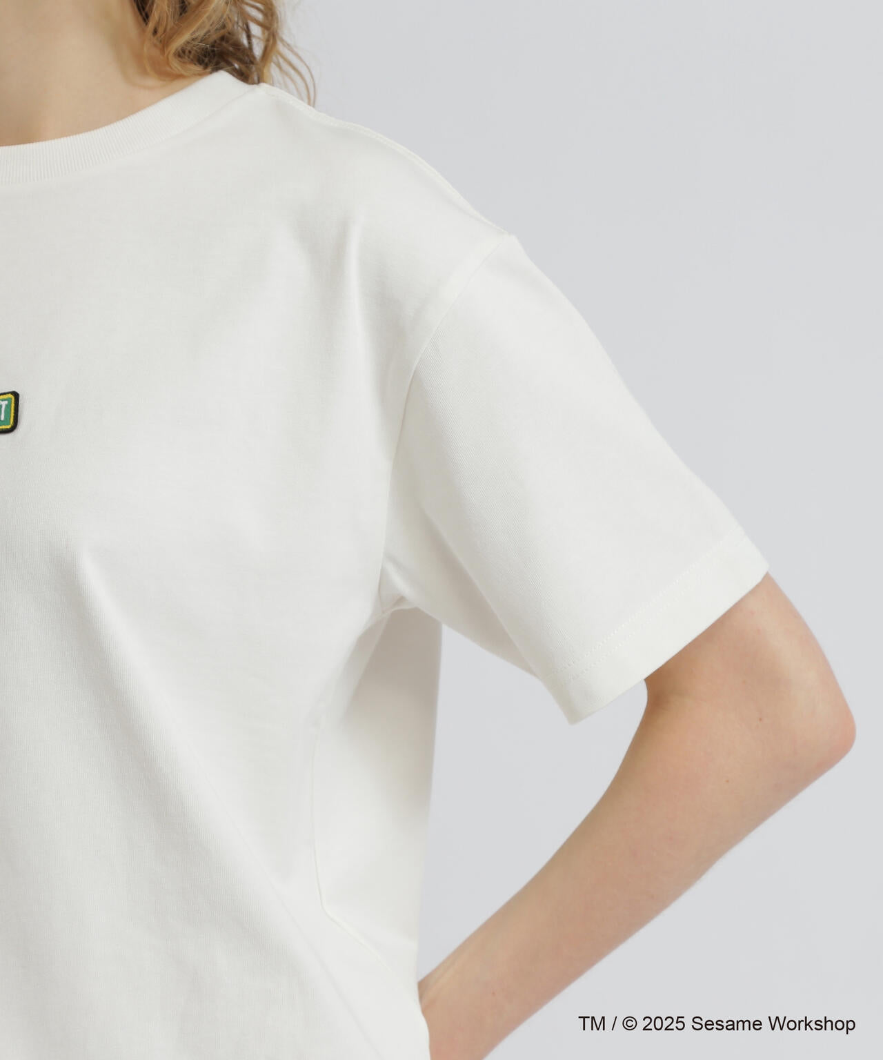《SESAME STREET meets AVIREX》TOGETHERNESS T-SHIRT