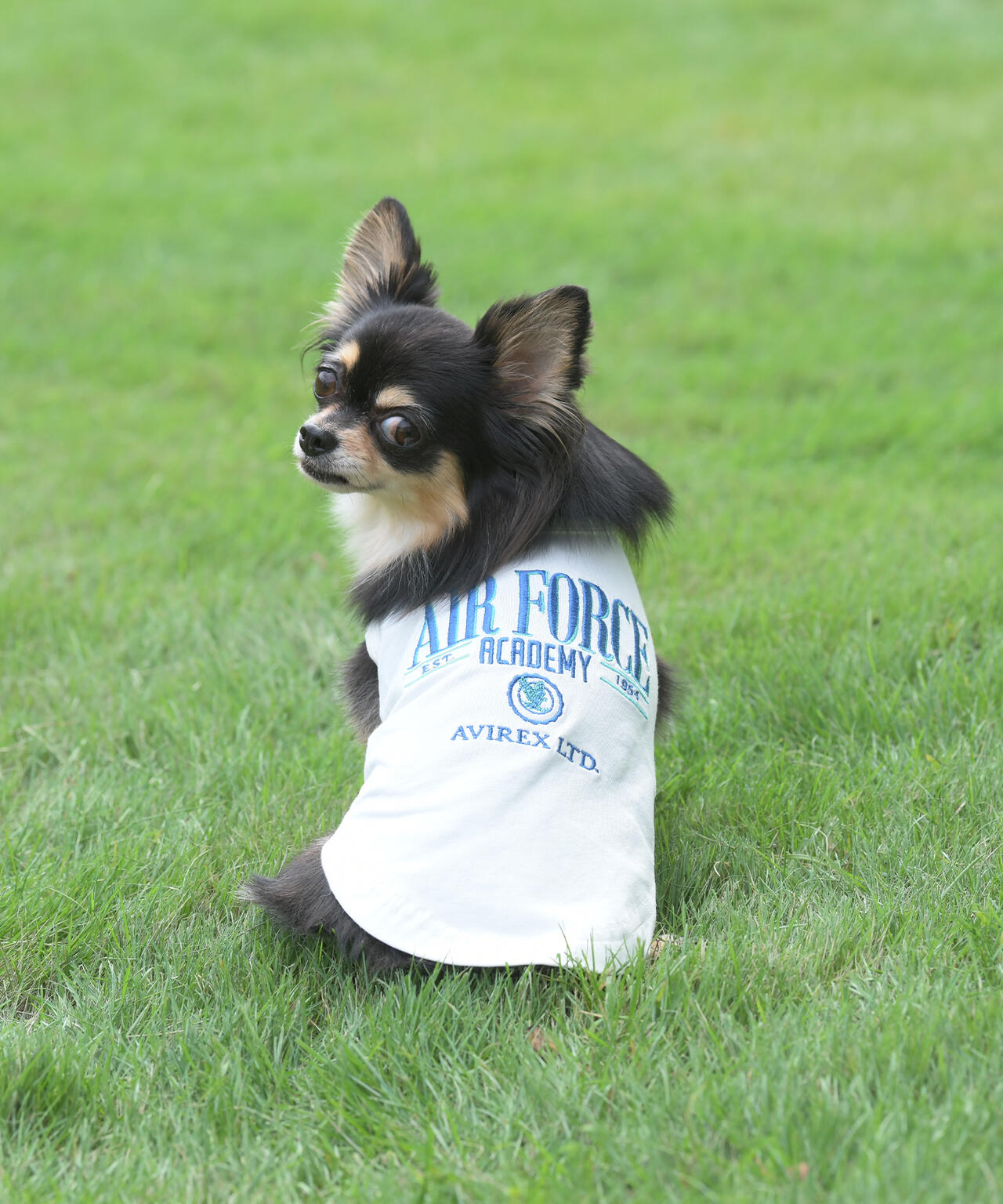 《DOG WEAR》USAFA EMB タンク