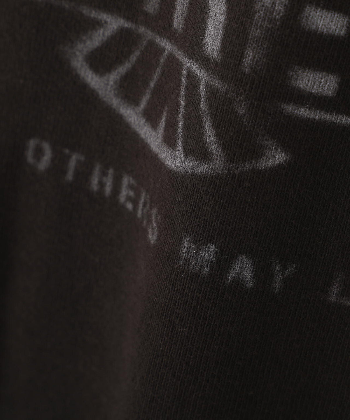 《直営店限定》VINTAGE CREWNECK SWAET ”EAGLE”