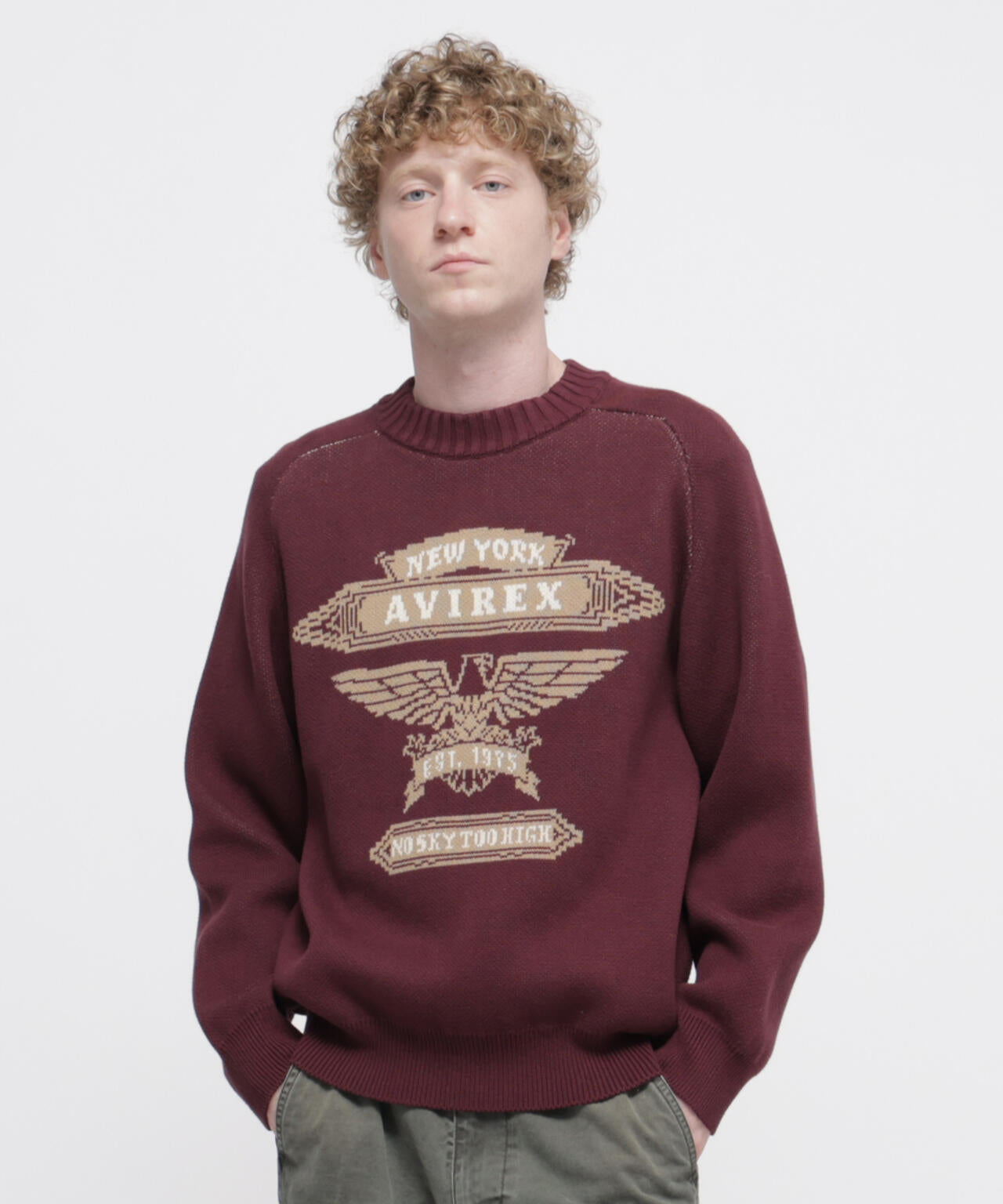 《直営店限定》FREEDOM SLEEVE COTTON KNIT ”EAGLES”