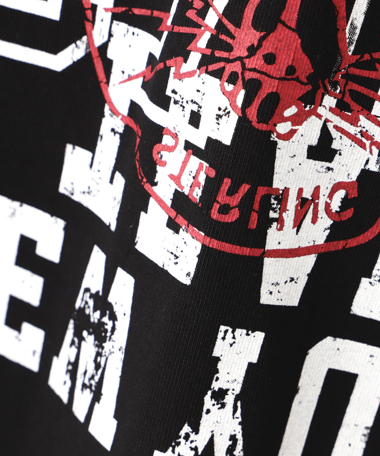 DankeSchon/ダンケシェーン/SWITCH L/S TEE UNIVERSITY