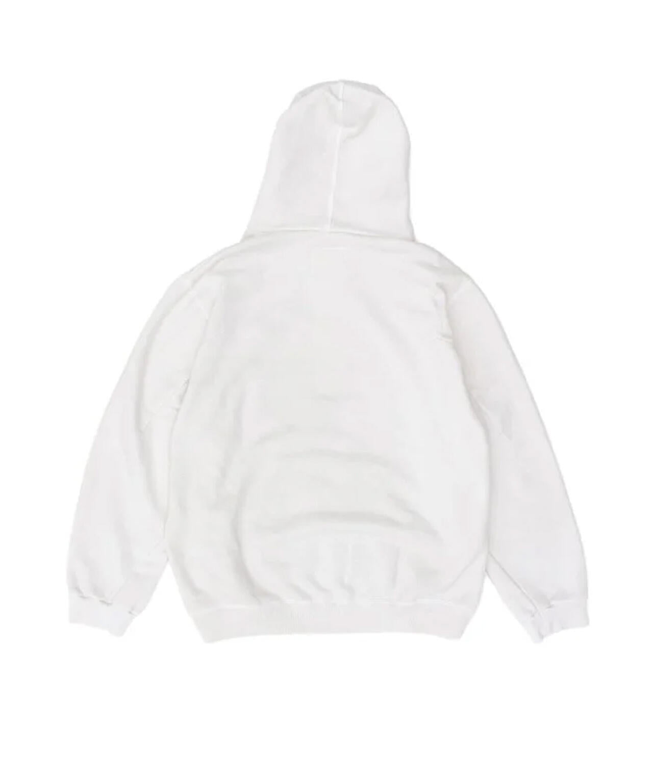 doublet/ダブレット/ANIME PRINT HOODIE