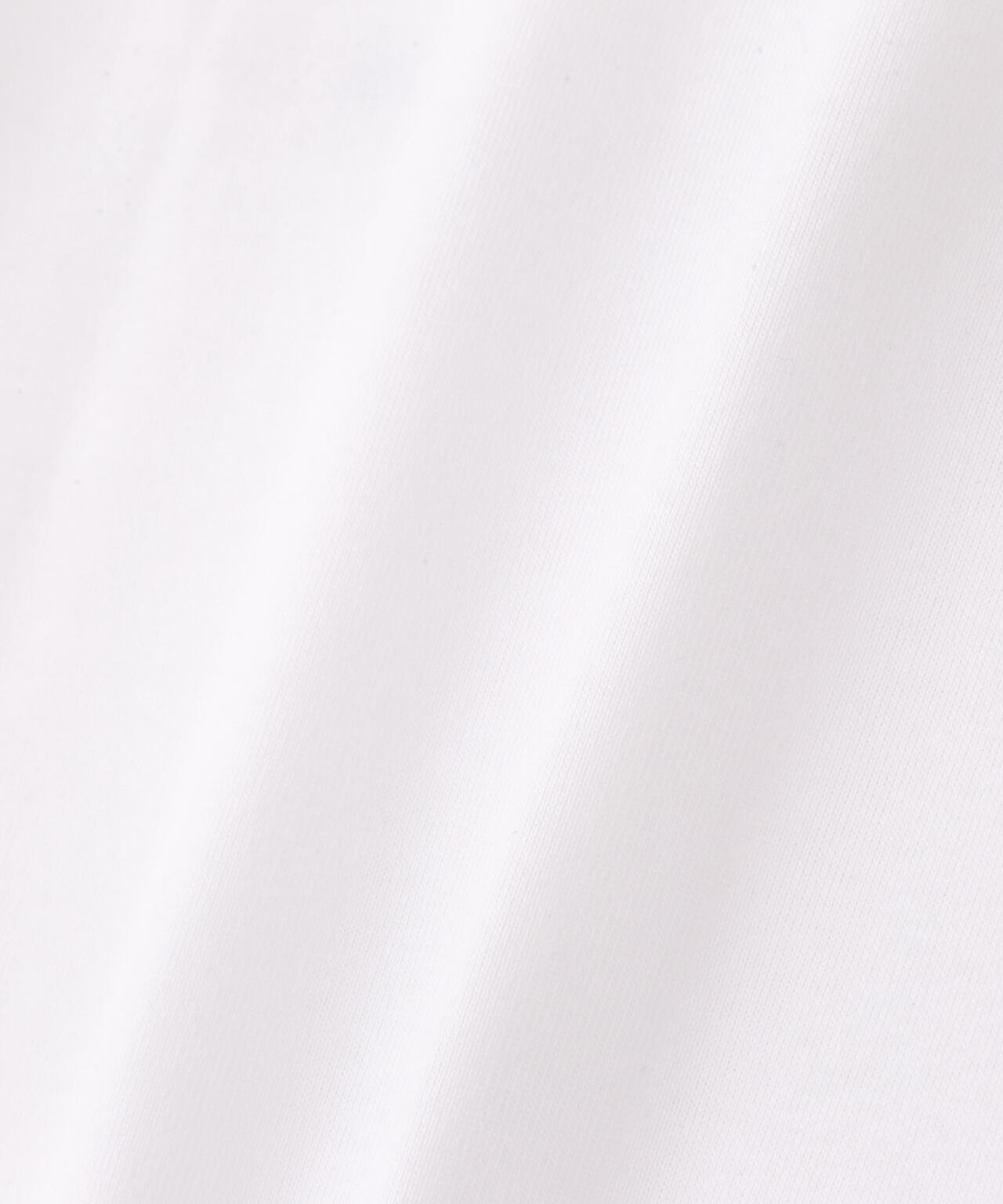 THE NORTH FACE/ザ・ノースフェイス/SS SMALL BOX LOGO TEE
