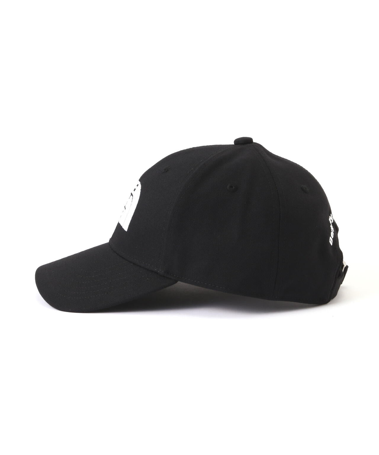 THE NORTH FACE/ザ・ノースフェイス/TNF LOGO CAP