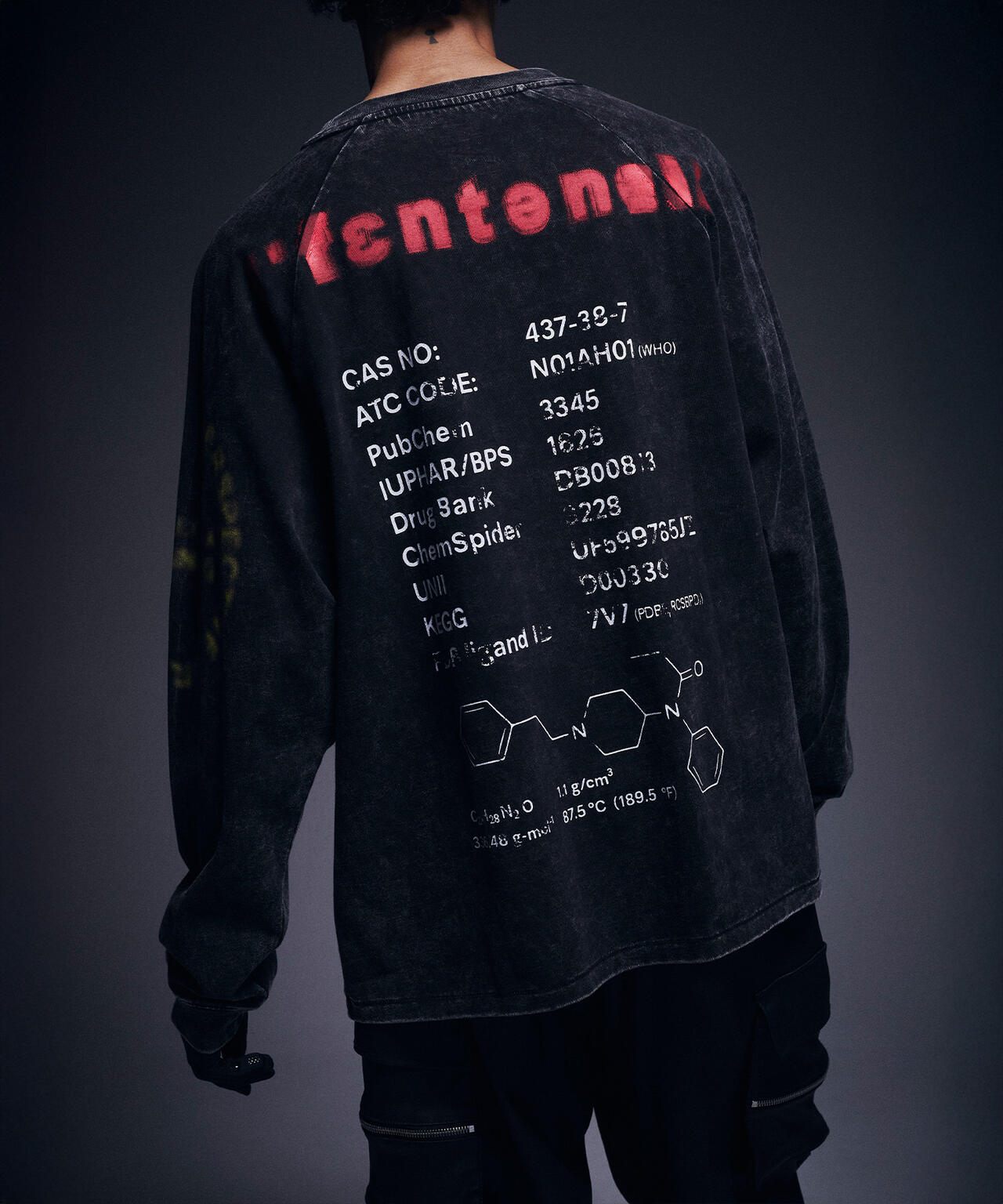DankeSchon/ダンケシェーン/CHEMICAL RAGLAN LST FENTANYL