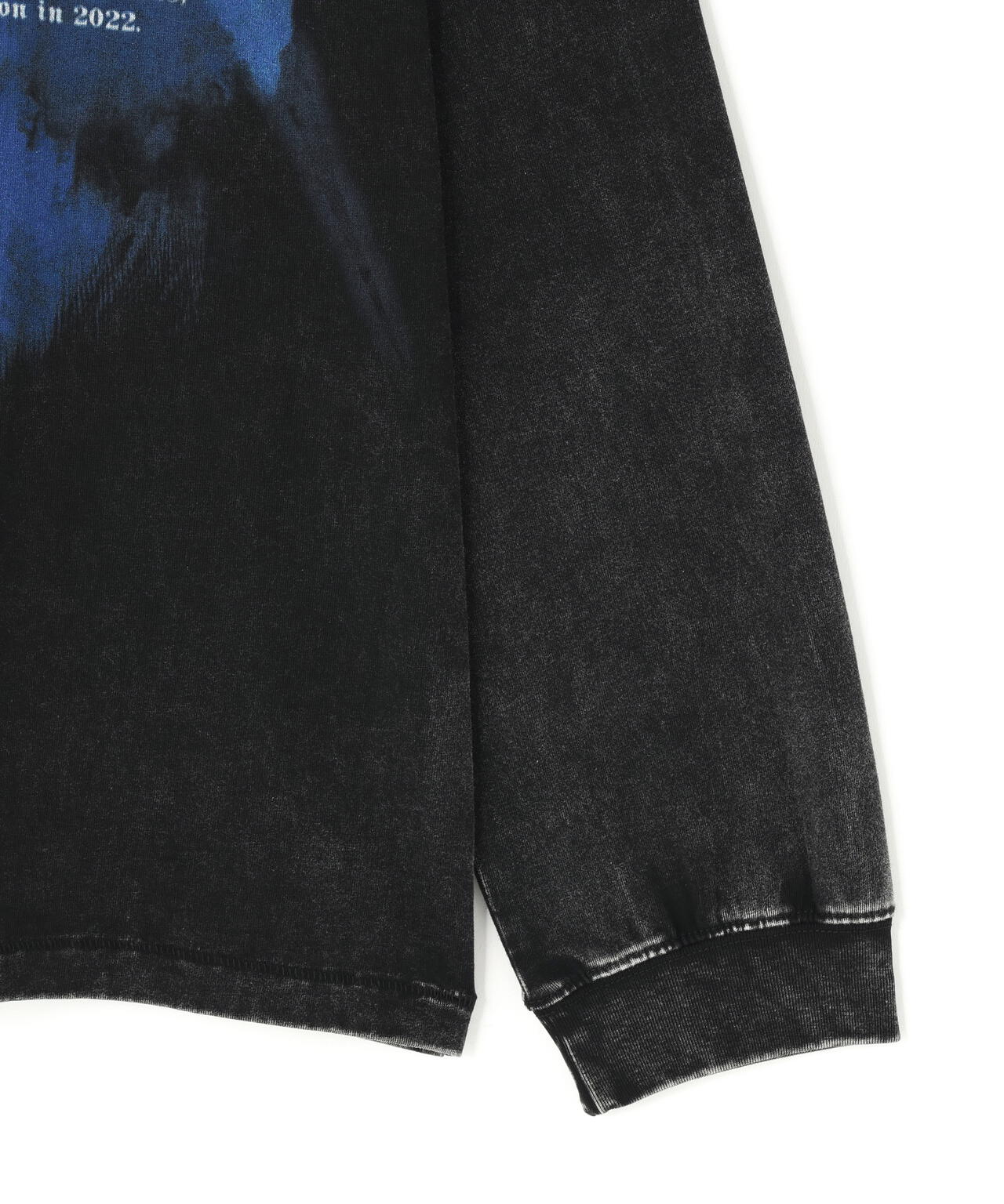 DankeSchon/ダンケシェーン/CHEMICAL RAGLAN LST RIKERS