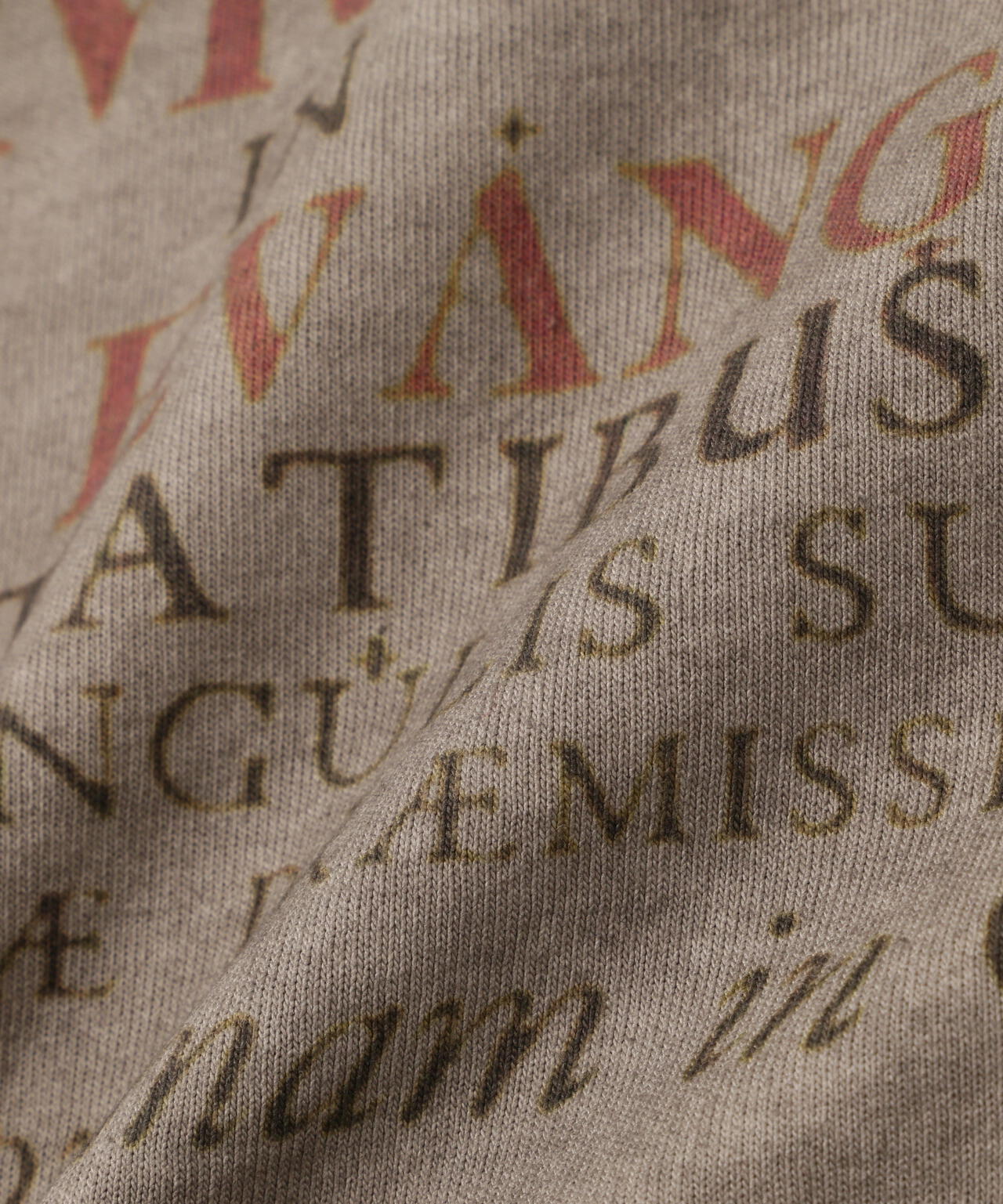 DankeSchon/ダンケシェーン/SPRAY BURN S/S TEE BIBLE