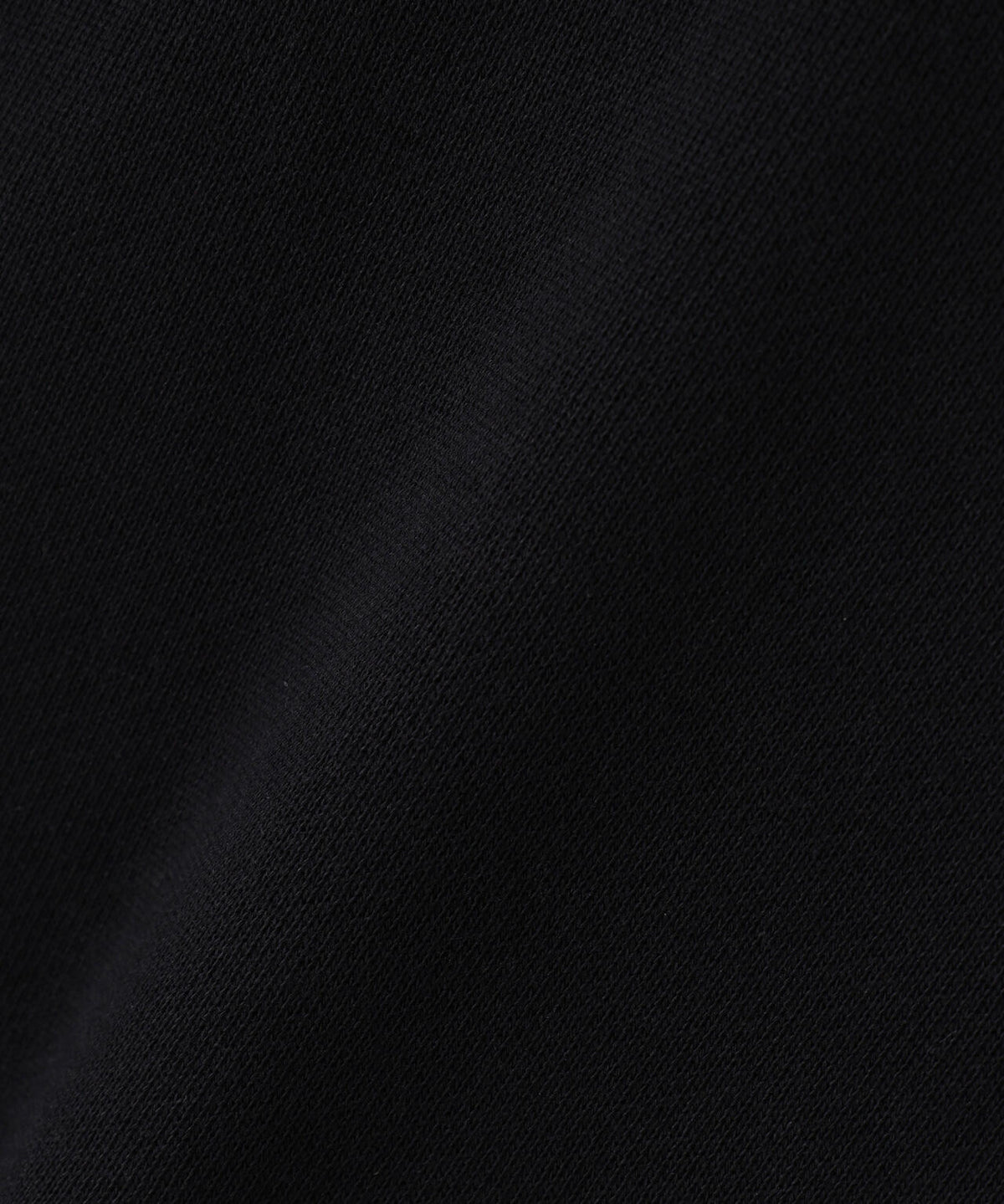 Hanes/ヘインズ/SWEATS KURO フーディ