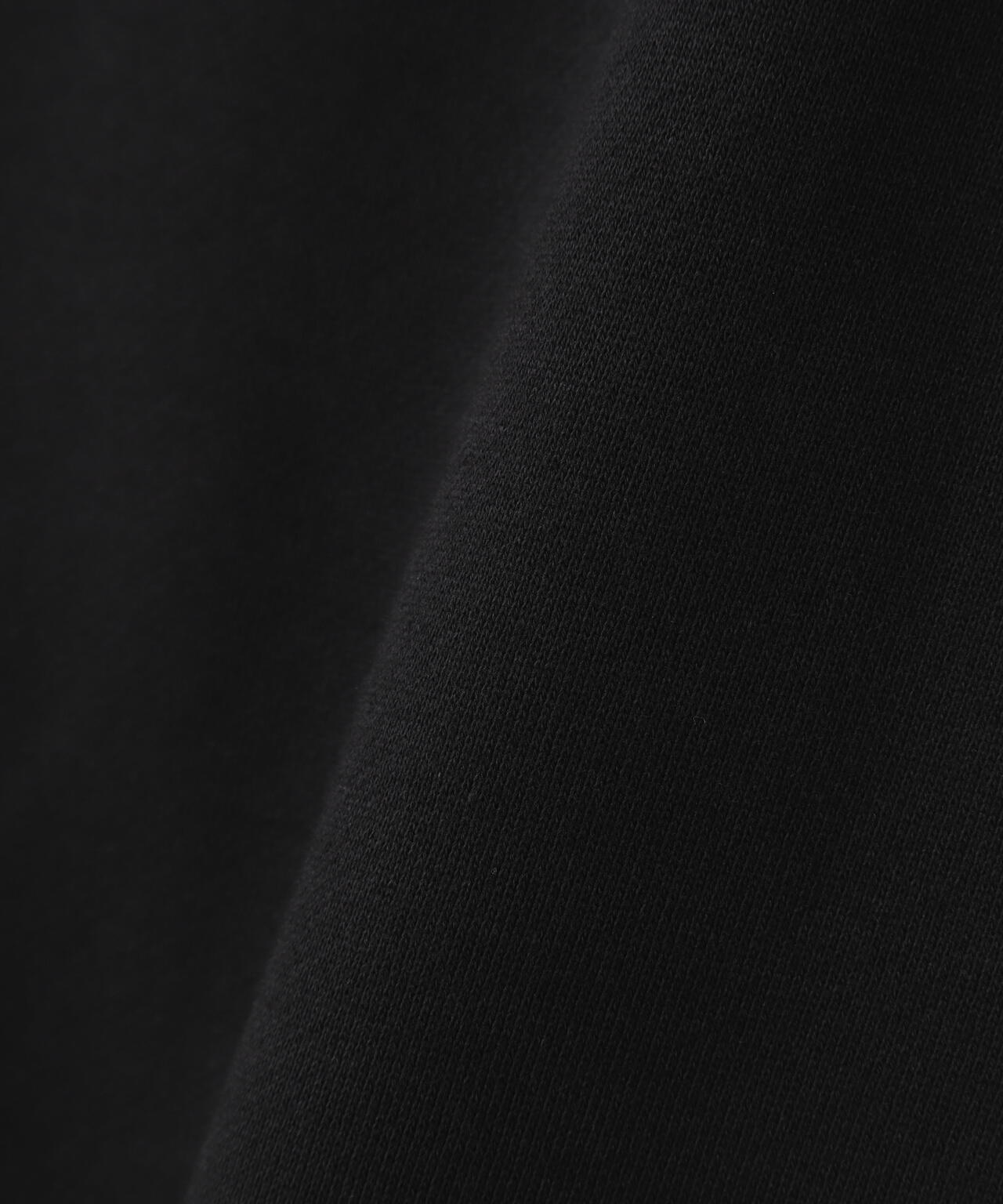 THE NORTH FACE / Rearview FullZip Hoodie