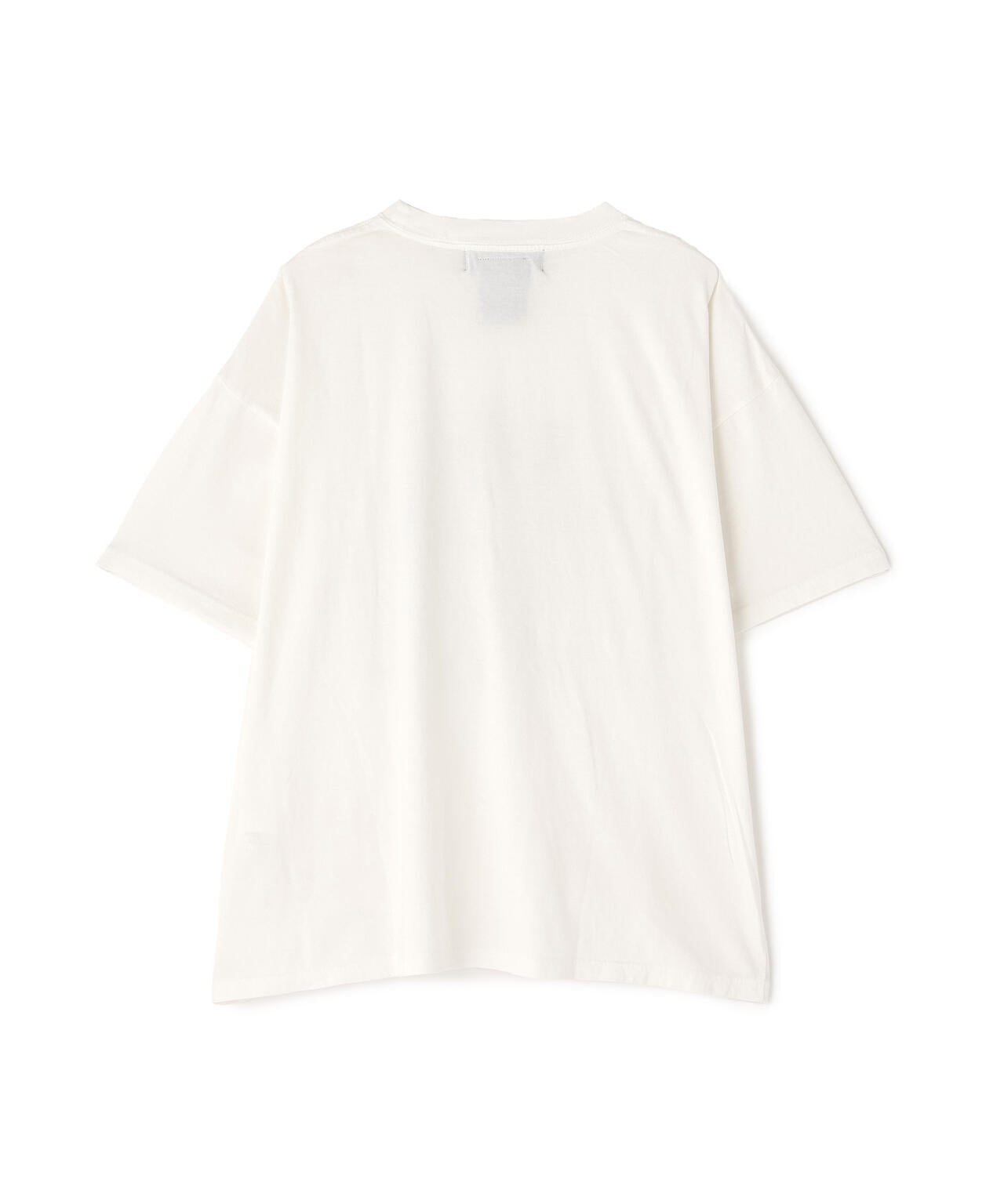 REMI RELIEF(レミレリーフ) 別注20/-天竺BIGサイズＴシャツ(THE WHO IS)