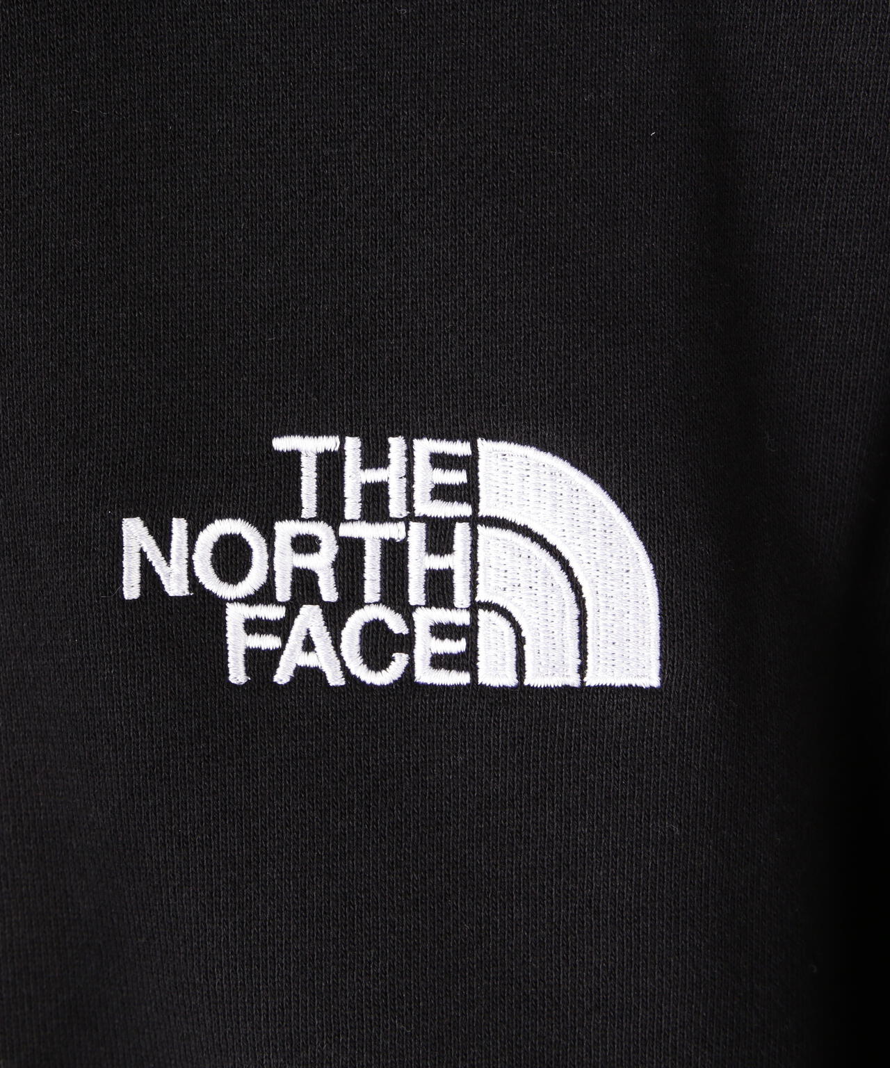 THE NORTH FACE (ザ・ノース・フェイス) Rearview FullZip Hoodie