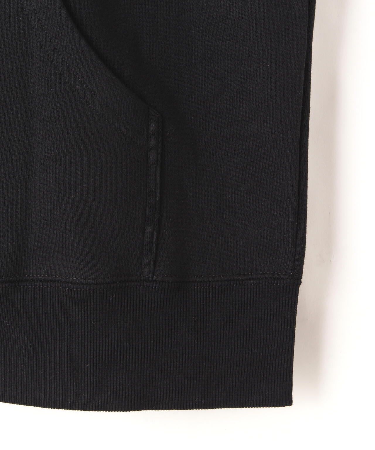 THE NORTH FACE (ザ・ノース・フェイス) Rearview FullZip Hoodie