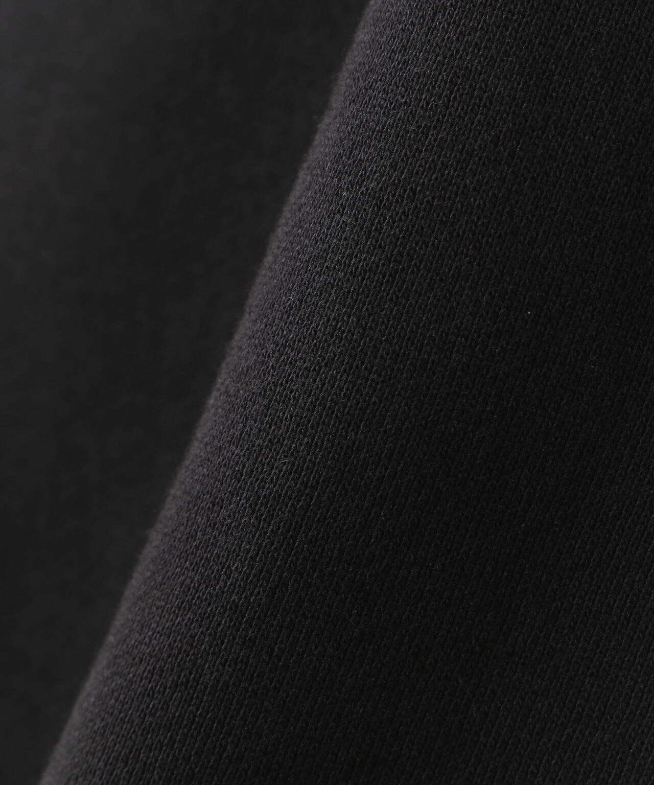 THE NORTH FACE (ザ・ノース・フェイス) Rearview FullZip Hoodie