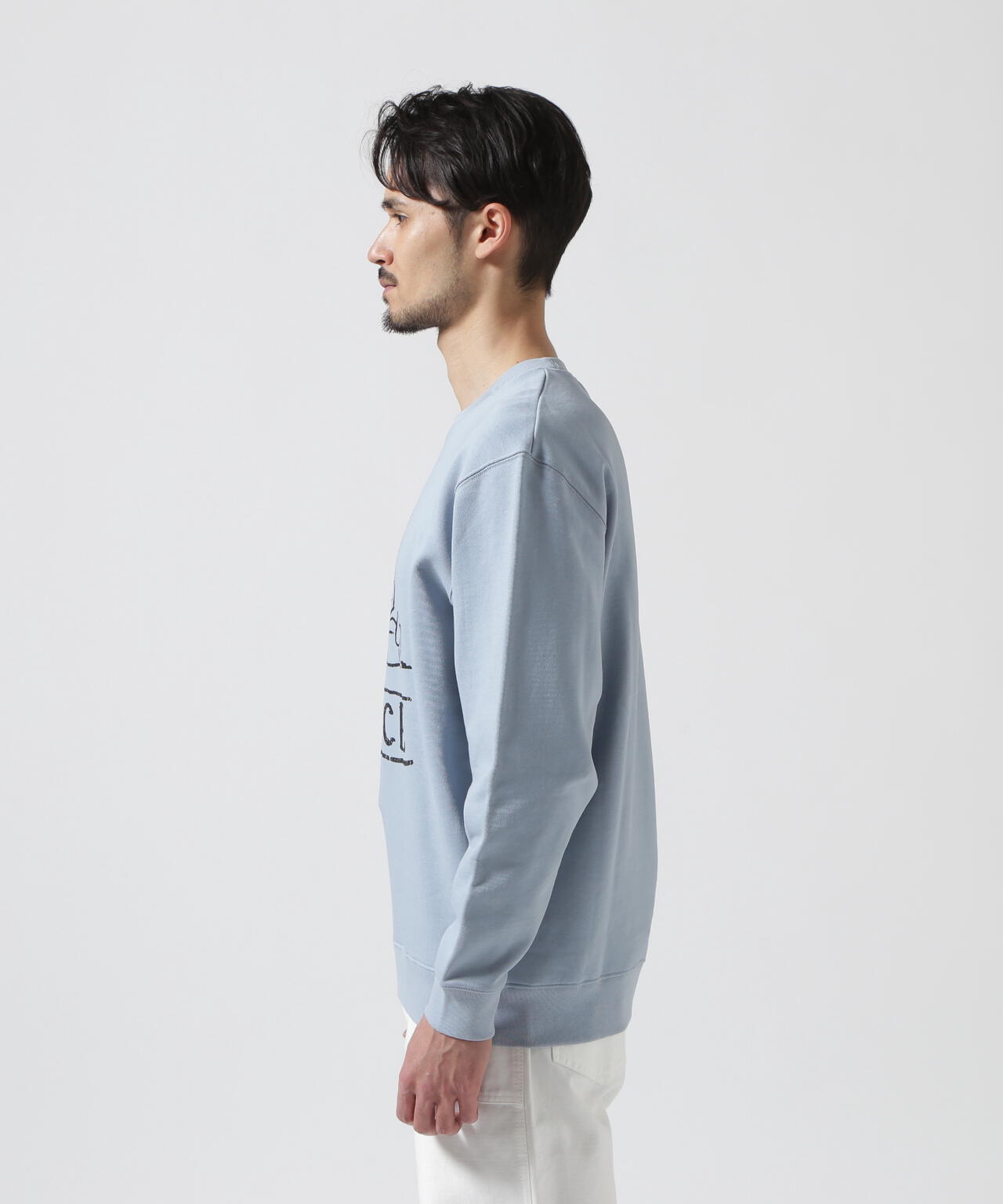 guernika/SHINICHIRO INUI×ODDTAXI/PRINT SWAET 1