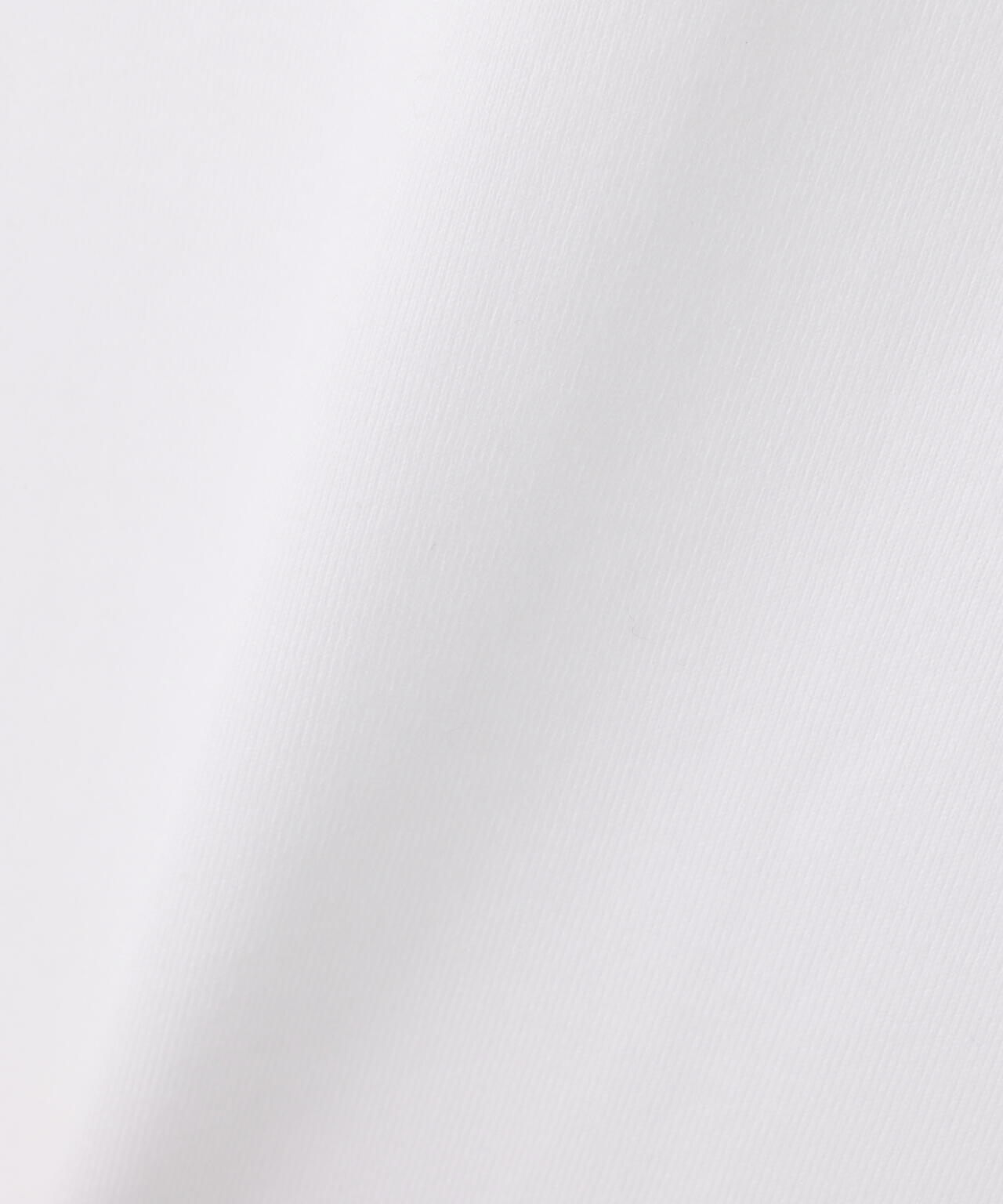 DENHAM/デンハム/BIG LOGO TEE