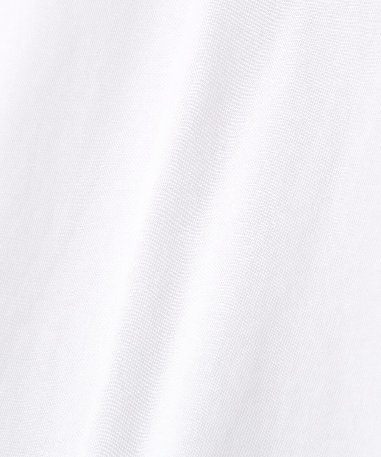 DENHAM/デンハム/BRIDGE TEE LCJ