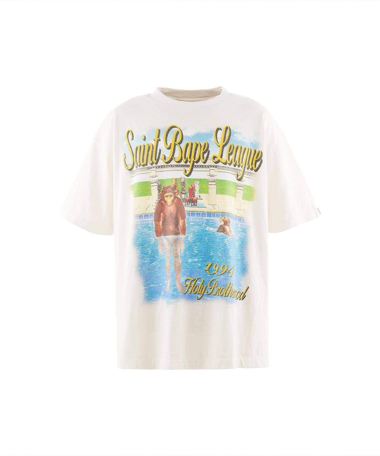 SAINT MICHAEL/セントマイケル/BAPE_SS T-SHIRT/POOL