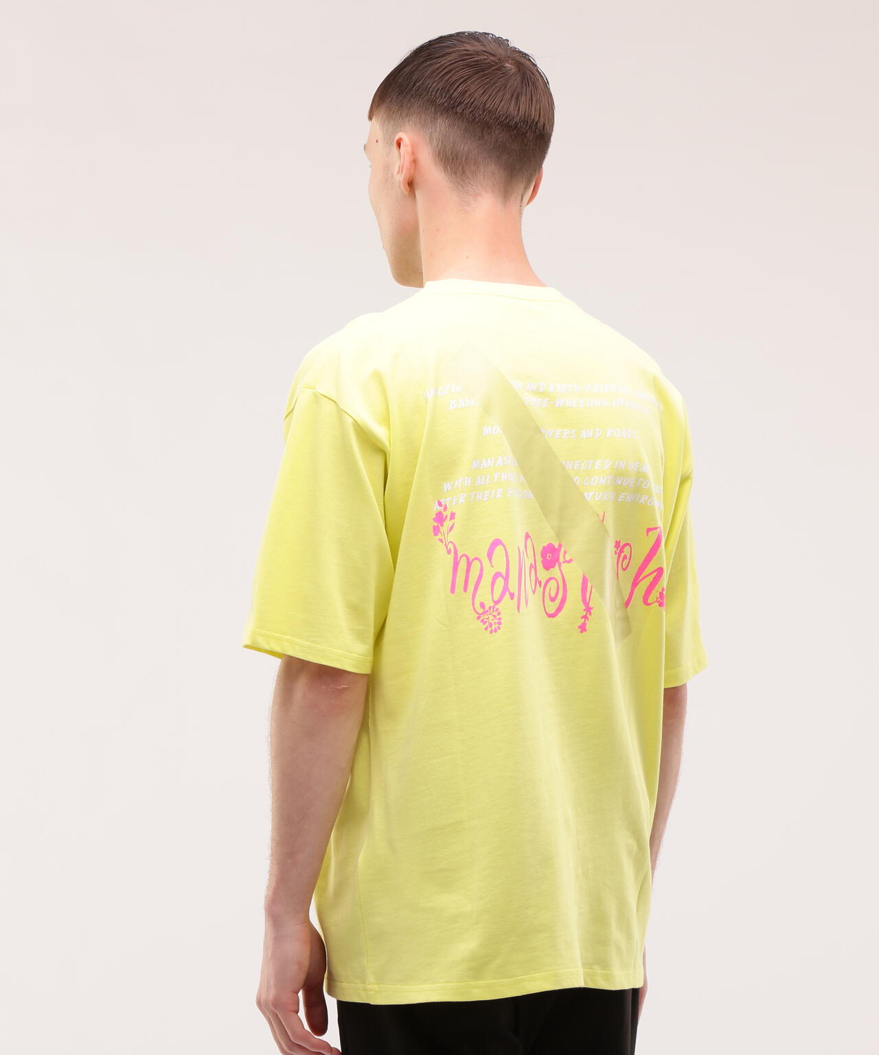 MANASTASH/マナスタッシュ/CiTee PLANTS Tシャツ