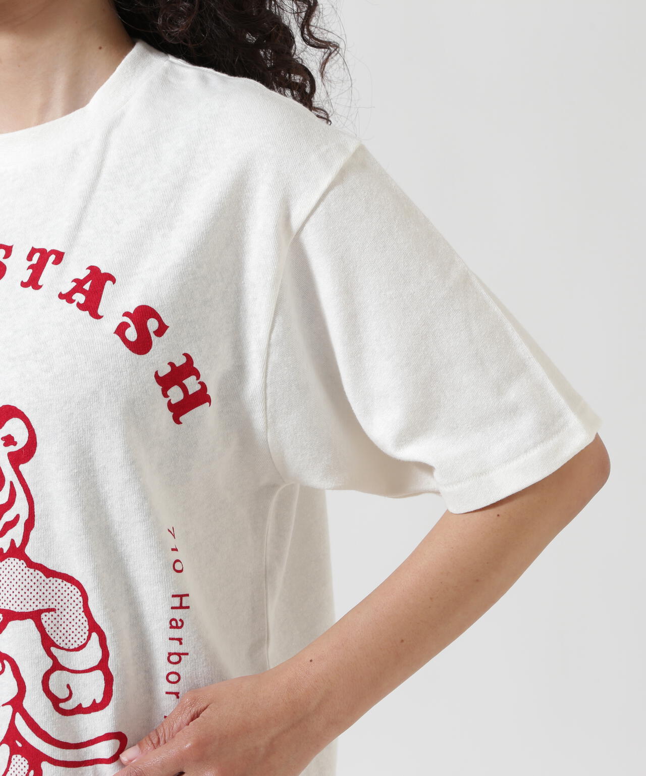 MANASTASH/マナスタッシュ/HEMP TEE MPC