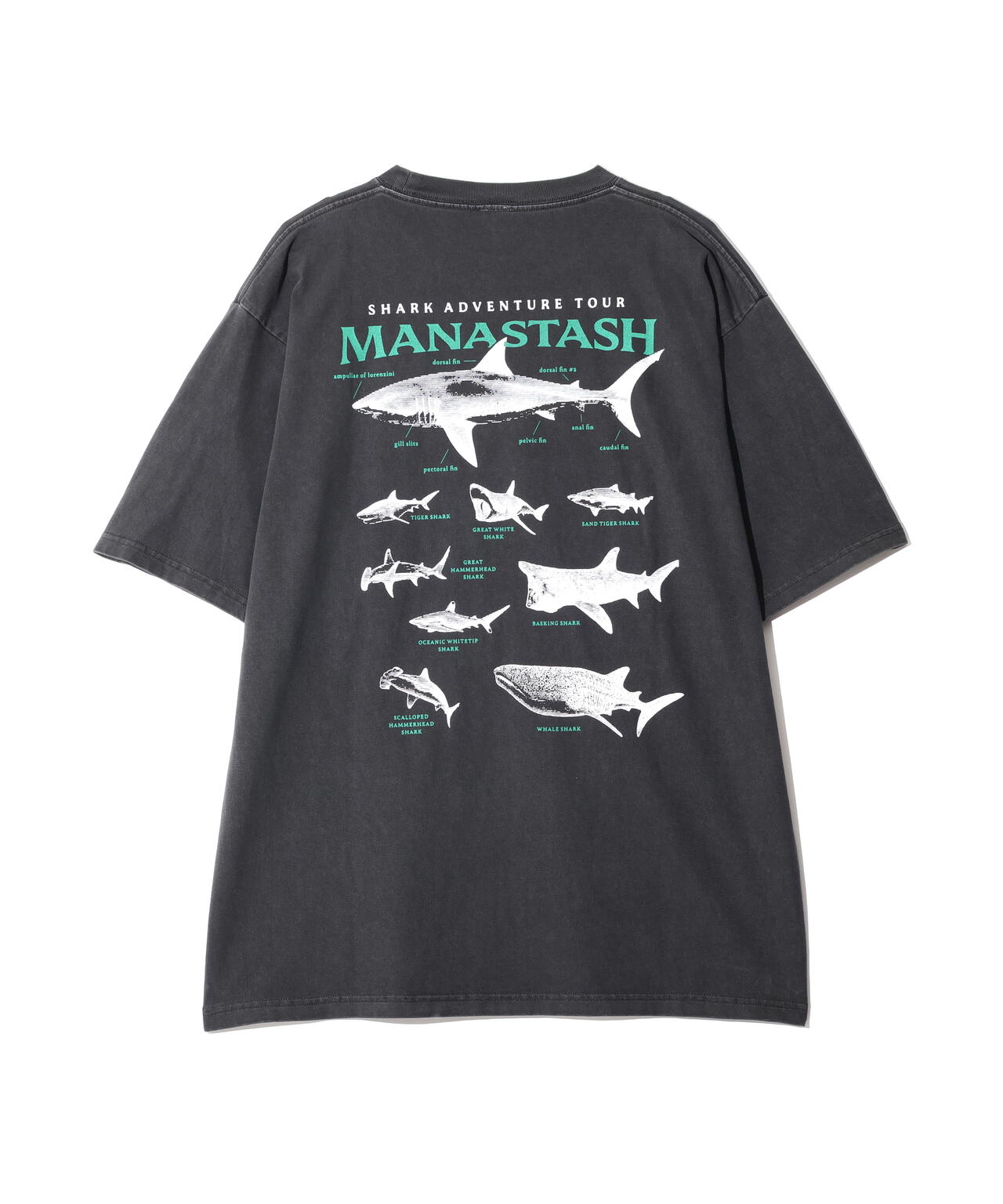 MANASTASH/マナスタッシュ/PUMICE TEE SHARK
