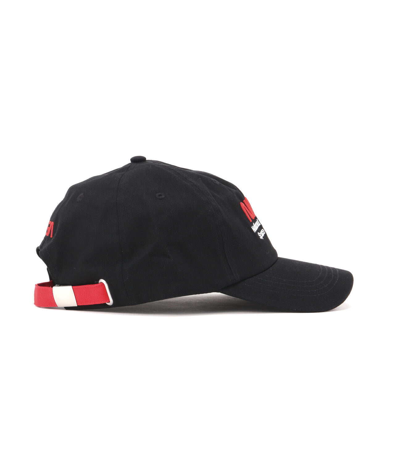 NASA WORM LOGO CAP